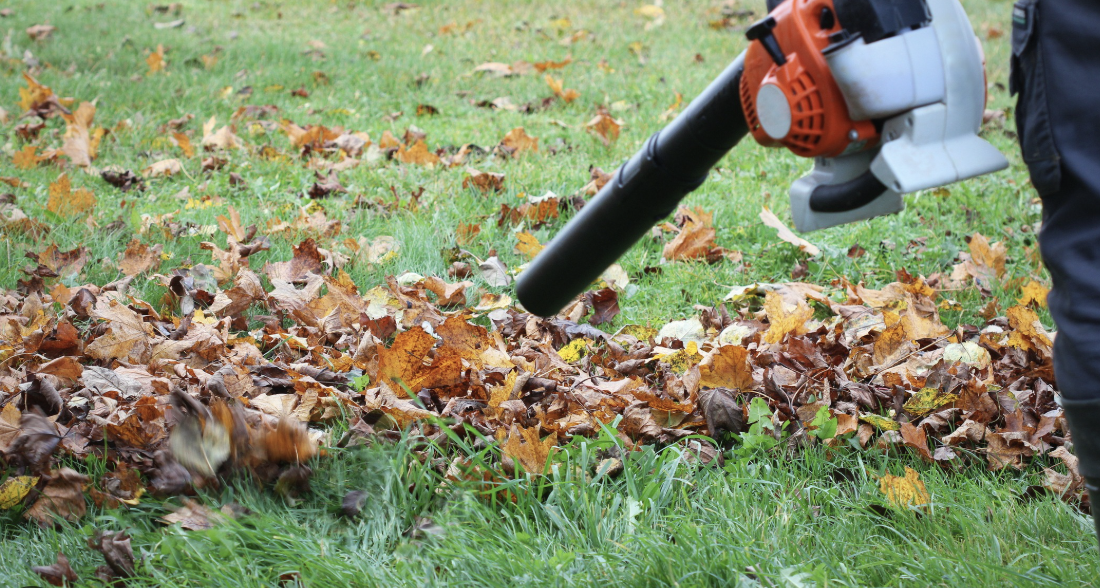Seasonal Cleanup Services