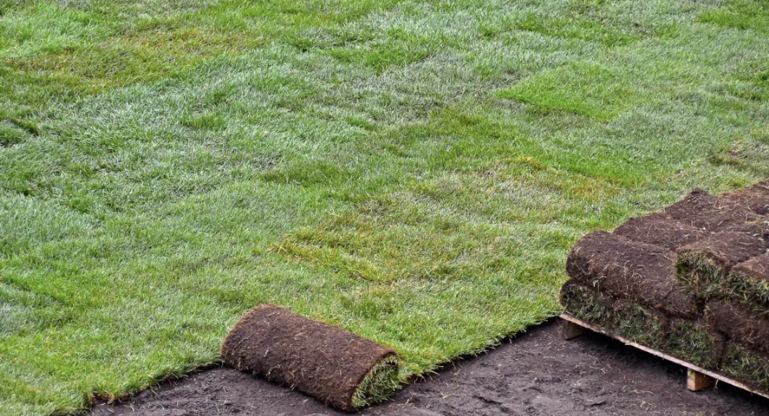 Sod Installation