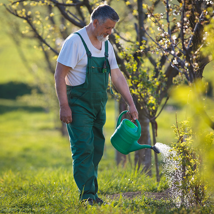 Garden Watering