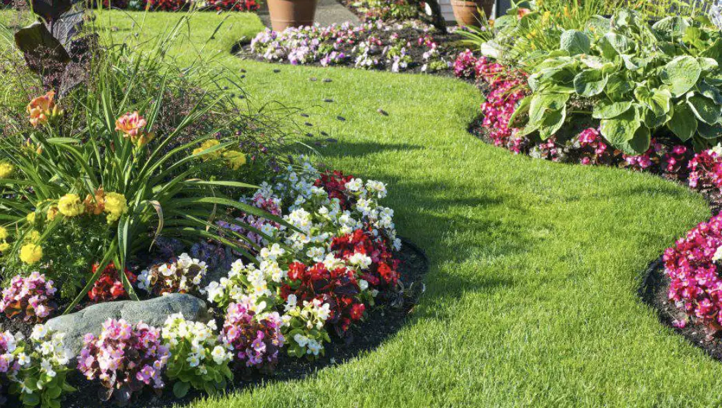 Planting flowers