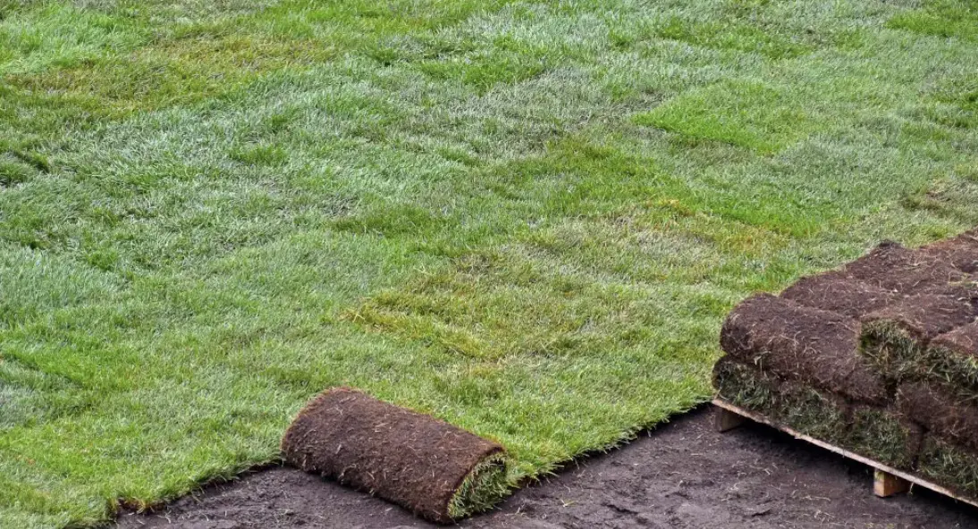 Sod Installation