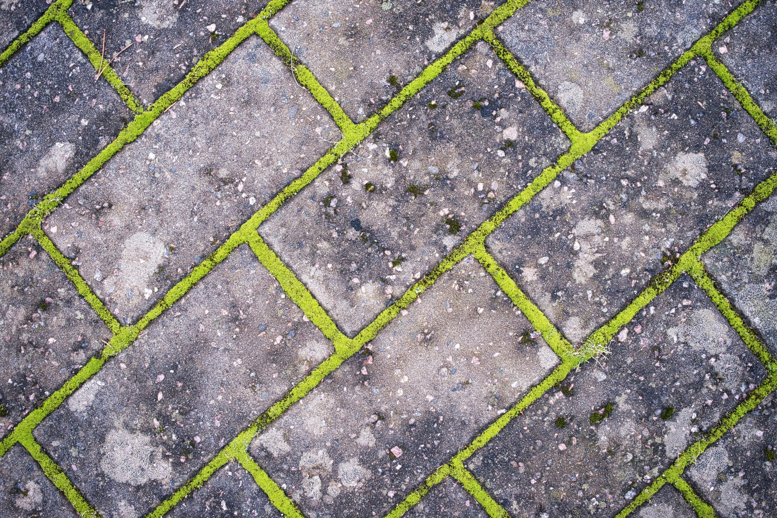benefits of hardscaping