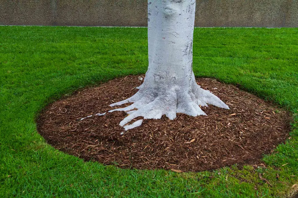 benefits of mulching service