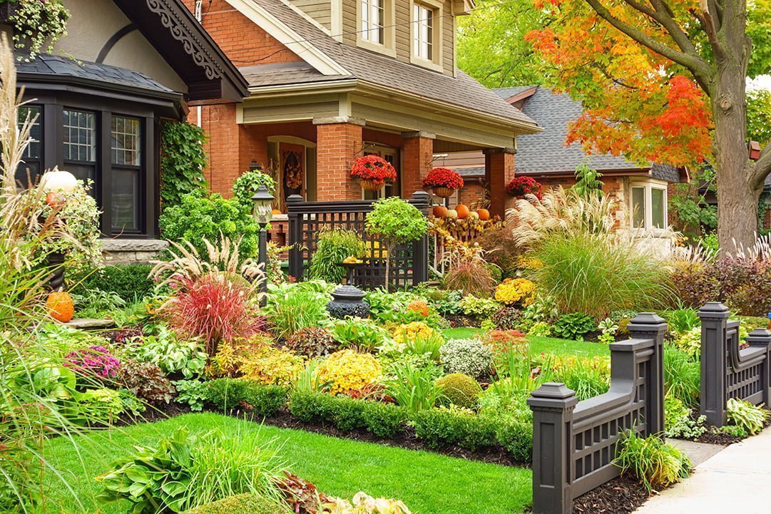 benefits of yard cleanup