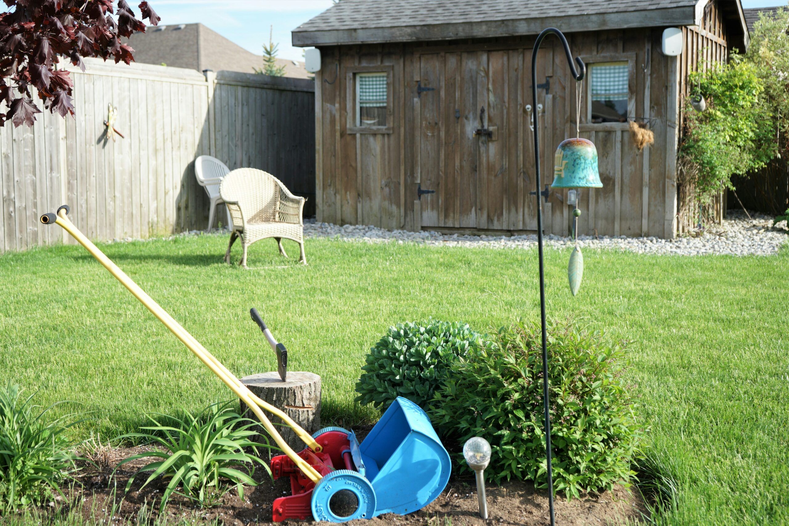 yard cleanup